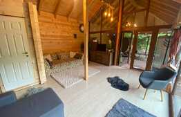 Cabana cu piscina de vanzare, 1000 mp teren, 250 mp utili, zona Baisoara