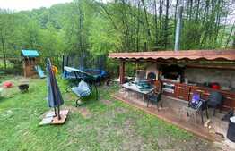 Cabana cu piscina de vanzare, 1000 mp teren, 250 mp utili, zona Baisoara