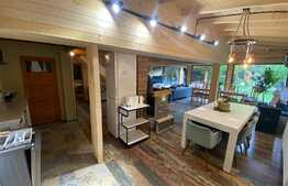 Cabana cu piscina de vanzare, 1000 mp teren, 250 mp utili, zona Baisoara