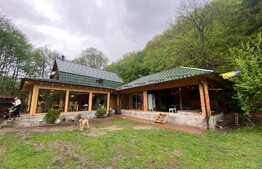 Cabana cu piscina de vanzare, 1000 mp teren, 250 mp utili, zona Baisoara