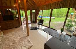 Cabana cu piscina de vanzare, 1000 mp teren, 250 mp utili, zona Baisoara