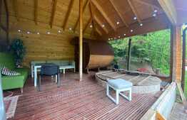 Cabana cu piscina de vanzare, 1000 mp teren, 250 mp utili, zona Baisoara