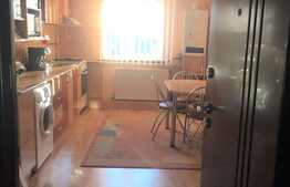 Apartament 2 camere, 55 mp, parcare, 2 balcoane, zona strazii Lunii 