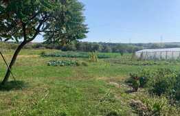 Casa de 86 mp cu teren de 6477 mp, Jucu de Mijloc