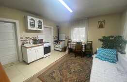 Casa de 86 mp cu teren de 6477 mp, Jucu de Mijloc