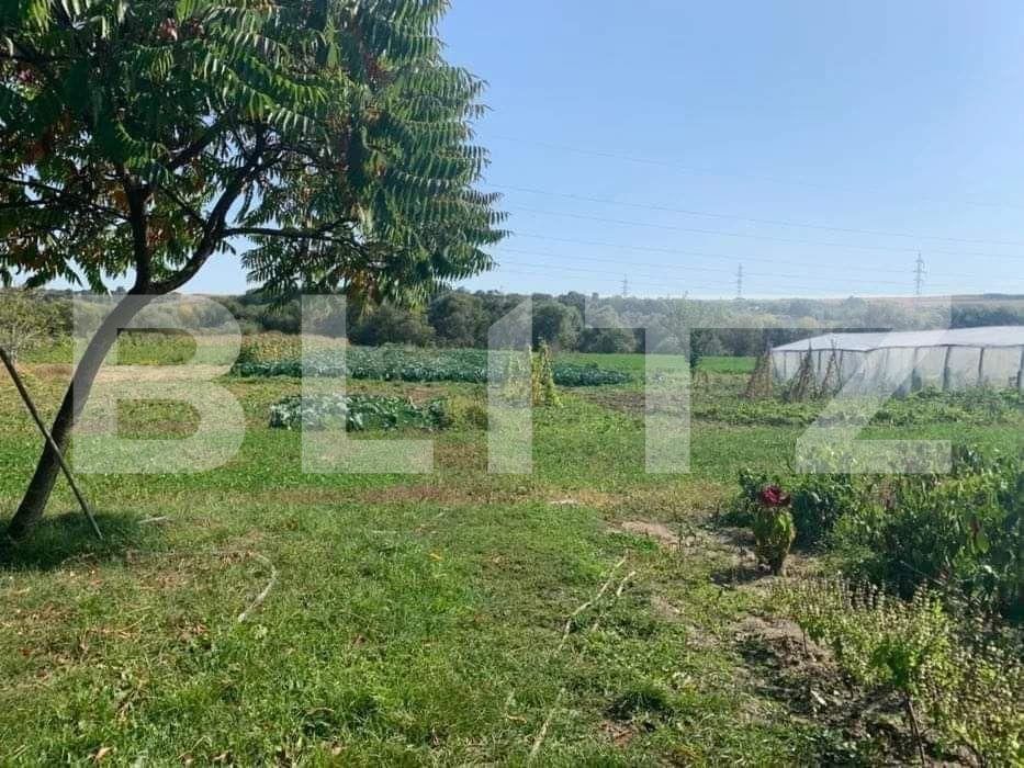 Casa de vânzare 2 camere Exterior Est - 78993CV | BLITZ Cluj-Napoca | Poza10