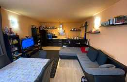 Casa de 284 mp, impartit in 3 apartamente, teren 503 mp, Str. Grivitei Comision 0%!