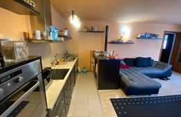 Casa de 284 mp, impartit in 3 apartamente, teren 503 mp, Str. Grivitei Comision 0%!