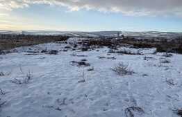 Teren Intravilan Someseni constructii comerciale 