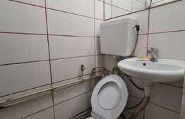 Camera de camin, 12 mp, zona Astra