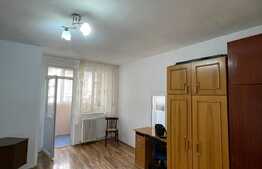 Garsoniera de 28 mp, pet friendly, zona Big Manastur