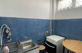 Garsoniera de 28 mp, pet friendly, zona Big Manastur