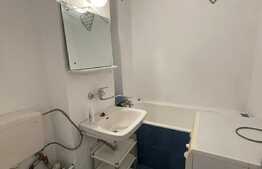 Garsoniera de 28 mp, pet friendly, zona Big Manastur