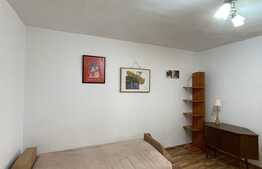 Garsoniera de 28 mp, pet friendly, zona Big Manastur