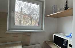 Garsoniera decomandata, 28 mp, zona strazii Louis Pasteur