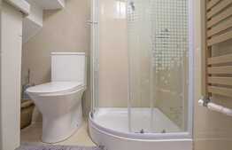 Casa formata din 2 apartamente independente, Centrul Istoric