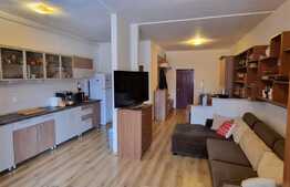 Apartament 1 camera, 50 mp, finisat, zona Oasului