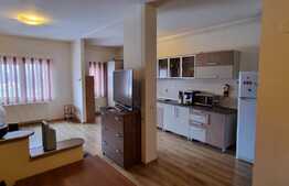 Apartament 1 camera, 50 mp, finisat, zona Oasului