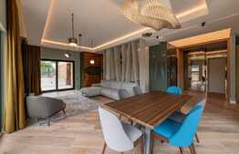 Penthouse 4 camere în vilă, 150 mp, terasă 80 mp și rooftop 250 mp, zona Câmpului