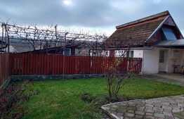 Casa 186 mp utili, teren 700 mp, in Copaceni, la 15 minute de Cluj!