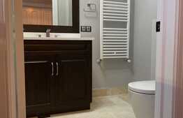 Penthouse 80 mp, terasa de 150 mp, zona Iulius Mall