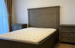 Penthouse 80 mp, terasa de 150 mp, zona Iulius Mall