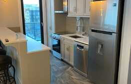 Penthouse 80 mp, terasa de 150 mp, zona Iulius Mall