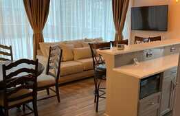 Penthouse 80 mp, terasa de 150 mp, zona Iulius Mall