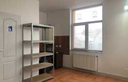 Parter de casa pretabil pentru o firma, zona Piata Engels