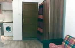 Garsoniera la casa, 32 mp, curte, pet friendly, zona FSEGA