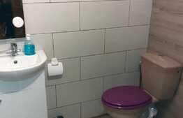 Garsoniera la casa, 32 mp, curte, pet friendly, zona FSEGA