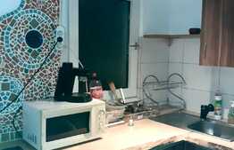 Garsoniera la casa, 32 mp, curte, pet friendly, zona FSEGA