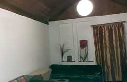 Garsoniera la casa, 32 mp, curte, pet friendly, zona FSEGA