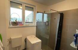 Garsoniera de 30 mp, terasa de 20 mp, zona Lombului