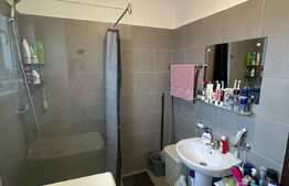 Garsoniera de 30 mp, terasa de 20 mp, zona Lombului