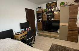 Garsoniera de 30 mp, terasa de 20 mp, zona Lombului