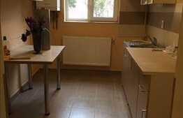 2 camere, 56 mp, partial mobilat, finisat modern, zona Iulius Mall