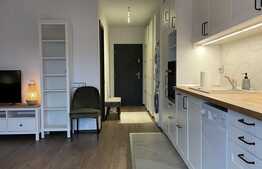 Apartament 2 camere, 60 mp, prima inchiriere, zona strazii Buna Ziua