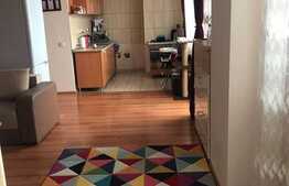 Apartament 2 camere, 55 mp, balcon, parcare, zona USAMV
