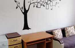 Garsoniera de 23 mp, zona strazii Cojocnei