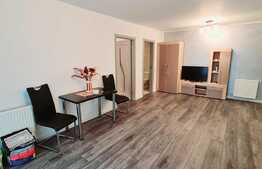 Apartamet de 2 camere, semidecomandat, finisaje noi, balcon 9 mp, zona Porii