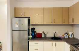 Apartament de 2 camere, 50 mp, parcare, pet friendly, zona strazii Oasului