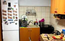 Doua corpuri de casa, 94 mp utili, singur in curte, Schei 