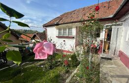 Doua corpuri de casa, 94 mp utili, singur in curte, Schei 