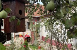 Doua corpuri de casa, 94 mp utili, singur in curte, Schei 