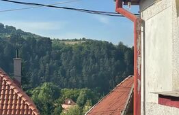 Doua corpuri de casa, 94 mp utili, singur in curte, Schei 