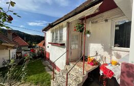 Doua corpuri de casa, 94 mp utili, singur in curte, Schei 