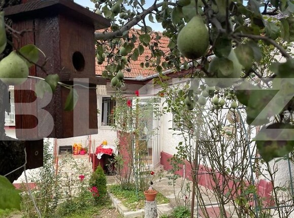 Casa de vânzare 4 camere Schei - 79361CV | BLITZ Brașov | Poza3