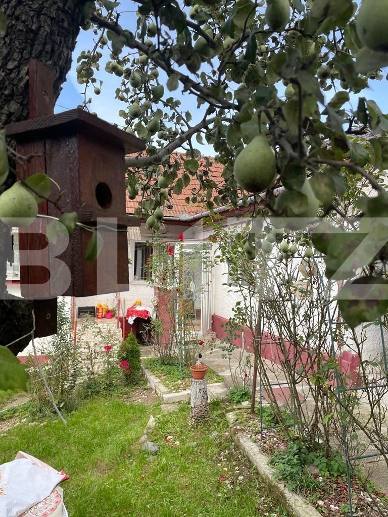 Casa de vânzare 4 camere Schei - 79361CV | BLITZ Brașov | Poza3