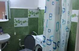 Garsoniera decomandata, pet friendly, zona strazii Oasului